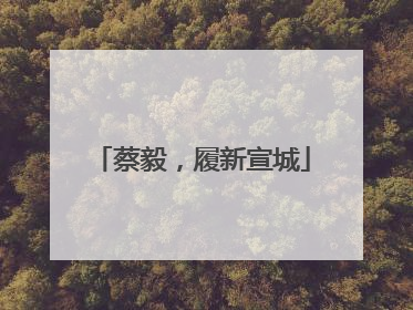 蔡毅，履新宣城