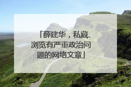 薛建华，私藏、浏览有严重政治问题的网络文章