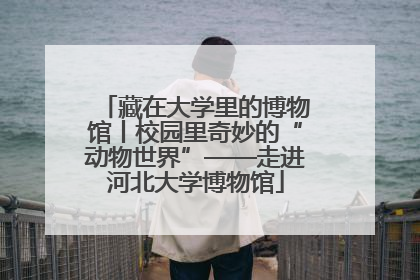 藏在大学里的博物馆丨校园里奇妙的“动物世界”——走进河北大学博物馆