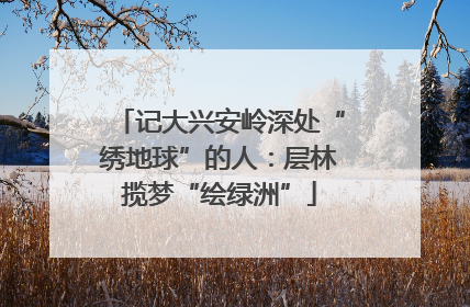 记大兴安岭深处“绣地球”的人：层林揽梦“绘绿洲”