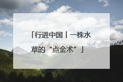 行进中国丨一株水草的“点金术”