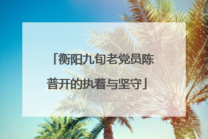 衡阳九旬老党员陈普开的执着与坚守