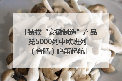 装载“安徽制造”产品 第5000列中欧班列（合肥）鸣笛起航