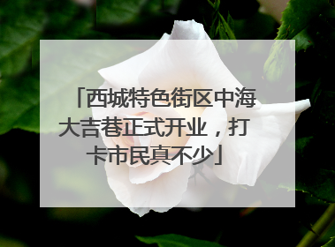 西城特色街区中海大吉巷正式开业，打卡市民真不少
