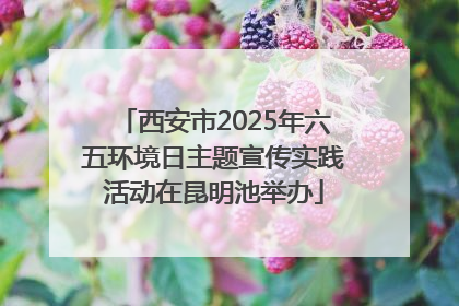 西安市2025年六五环境日主题宣传实践活动在昆明池举办