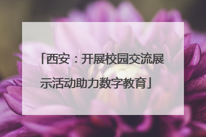 西安：开展校园交流展示活动助力数字教育