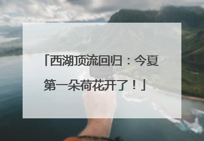 西湖顶流回归：今夏第一朵荷花开了！
