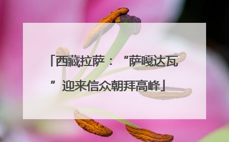 西藏拉萨：“萨嘎达瓦”迎来信众朝拜高峰