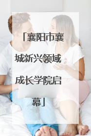 襄阳市襄城新兴领域成长学院启幕