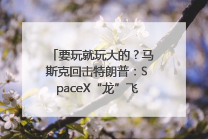 要玩就玩大的？马斯克回击特朗普：SpaceX“龙”飞船将立即退役！