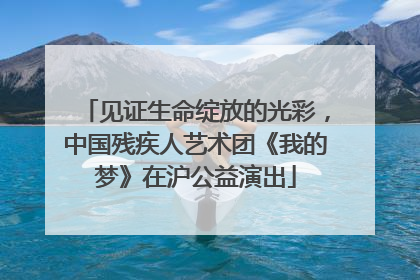 见证生命绽放的光彩，中国残疾人艺术团《我的梦》在沪公益演出