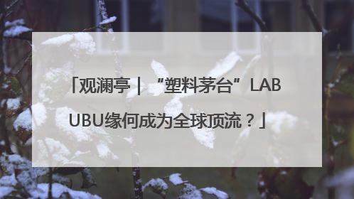 观澜亭｜“塑料茅台”LABUBU缘何成为全球顶流？