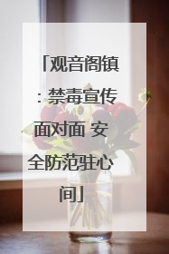 观音阁镇：禁毒宣传面对面 安全防范驻心间