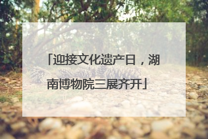 迎接文化遗产日，湖南博物院三展齐开