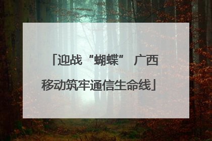 迎战“蝴蝶” 广西移动筑牢通信生命线