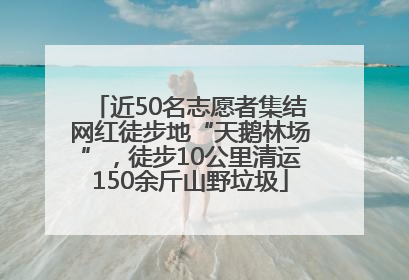 近50名志愿者集结网红徒步地“天鹅林场”，徒步10公里清运150余斤山野垃圾