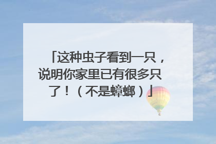 这种虫子看到一只，说明你家里已有很多只了！（不是蟑螂）