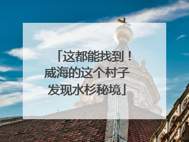 这都能找到！威海的这个村子发现水杉秘境
