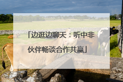 边逛边聊天：听中非伙伴畅谈合作共赢
