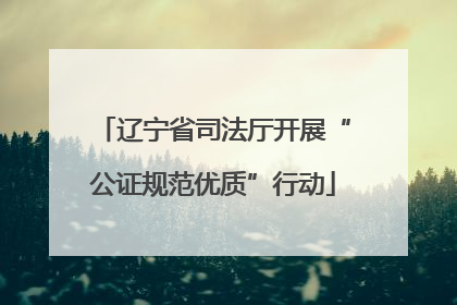 辽宁省司法厅开展“公证规范优质”行动