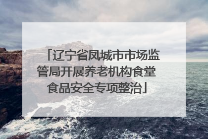 辽宁省凤城市市场监管局开展养老机构食堂食品安全专项整治