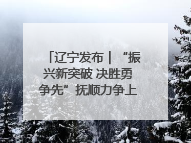 辽宁发布｜“振兴新突破 决胜勇争先”抚顺力争上半年地区生产总值增长7%左右