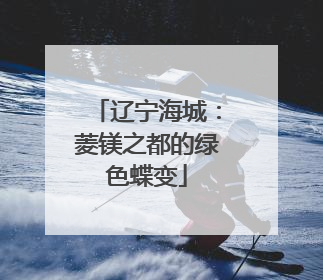 辽宁海城：菱镁之都的绿色蝶变