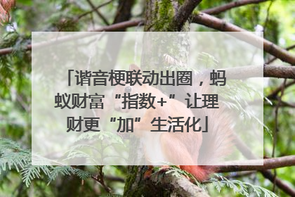 谐音梗联动出圈，蚂蚁财富“指数+”让理财更“加”生活化