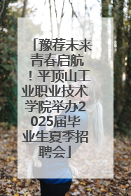 豫荐未来 青春启航！平顶山工业职业技术学院举办2025届毕业生夏季招聘会