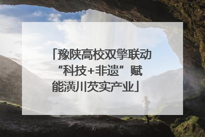 豫陕高校双擎联动 “科技+非遗”赋能潢川芡实产业