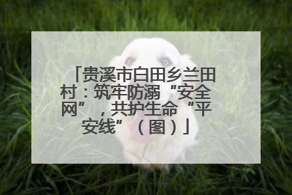 贵溪市白田乡兰田村：筑牢防溺“安全网”，共护生命“平安线”（图）