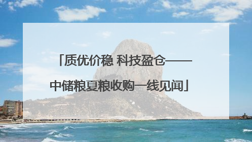质优价稳 科技盈仓——中储粮夏粮收购一线见闻