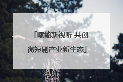 赋能新视听 共创微短剧产业新生态