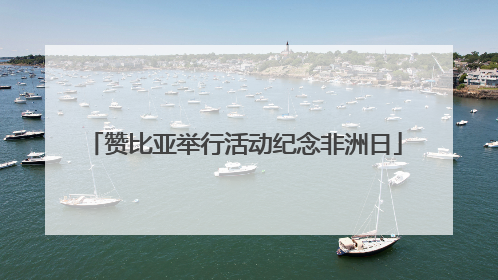 赞比亚举行活动纪念非洲日