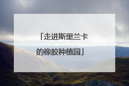 走进斯里兰卡的橡胶种植园
