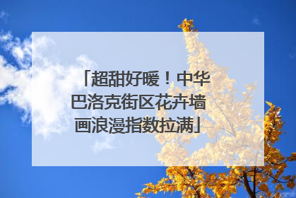 超甜好暖！中华巴洛克街区花卉墙画浪漫指数拉满