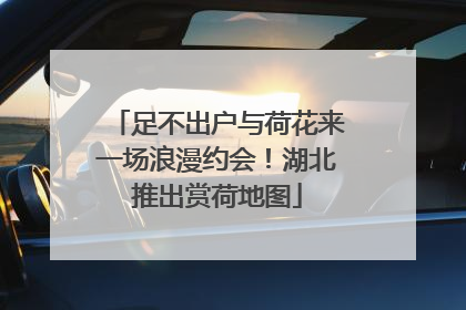 足不出户与荷花来一场浪漫约会！湖北推出赏荷地图