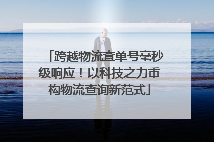 跨越物流查单号毫秒级响应！以科技之力重构物流查询新范式