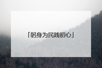 躬身为民践初心