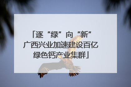 逐“绿”向“新” 广西兴业加速建设百亿绿色钙产业集群
