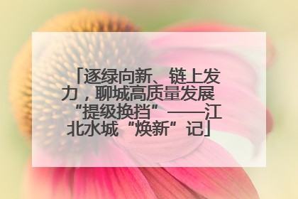 逐绿向新、链上发力，聊城高质量发展“提级换挡”——江北水城“焕新”记