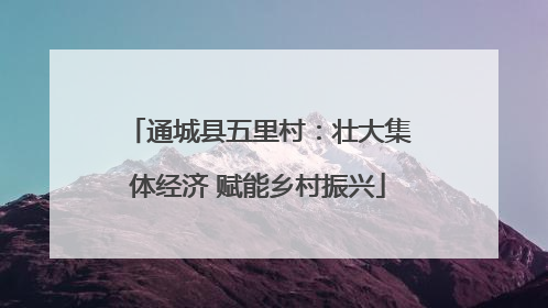通城县五里村：壮大集体经济 赋能乡村振兴