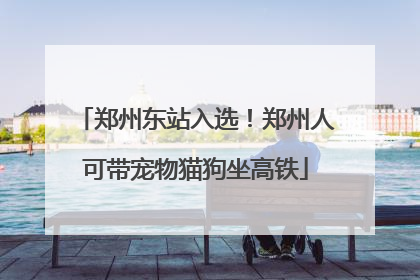 郑州东站入选！郑州人可带宠物猫狗坐高铁
