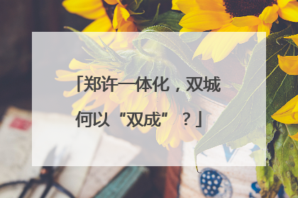 郑许一体化,双城何以“双成”?