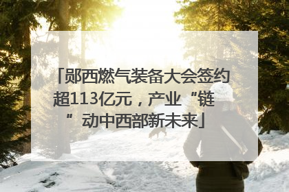 郧西燃气装备大会签约超113亿元，产业“链”动中西部新未来