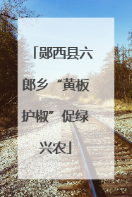 郧西县六郎乡“黄板护椒”促绿兴农
