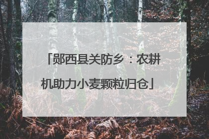 郧西县关防乡：农耕机助力小麦颗粒归仓