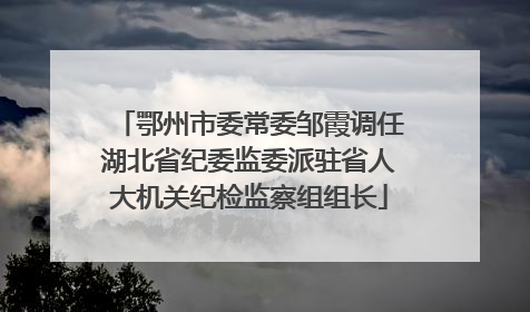 鄂州市委常委邹霞调任湖北省纪委监委派驻省人大机关纪检监察组组长