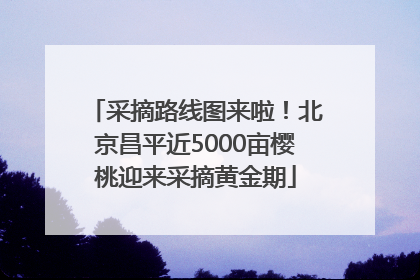 采摘路线图来啦！北京昌平近5000亩樱桃迎来采摘黄金期