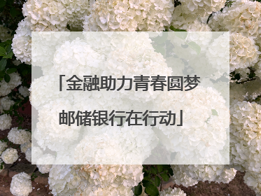 金融助力青春圆梦邮储银行在行动